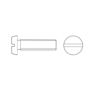 SW10021 Zylinderschraube mit Langsschlitz DIN 84 Edelstahl V4A