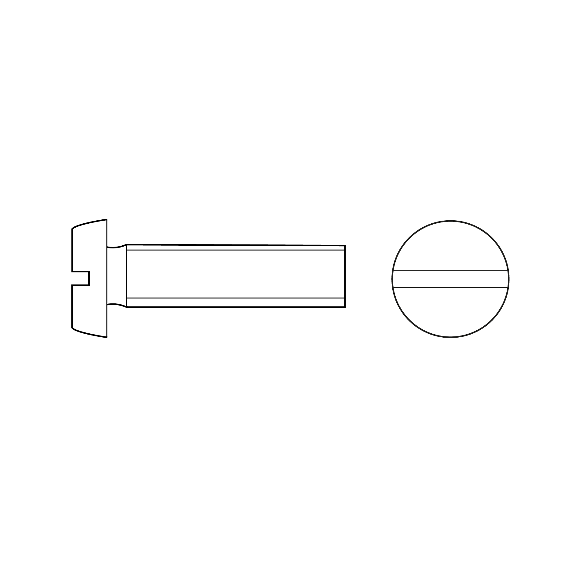 SW10021 Zylinderschraube mit Langsschlitz DIN 84 Edelstahl V4A